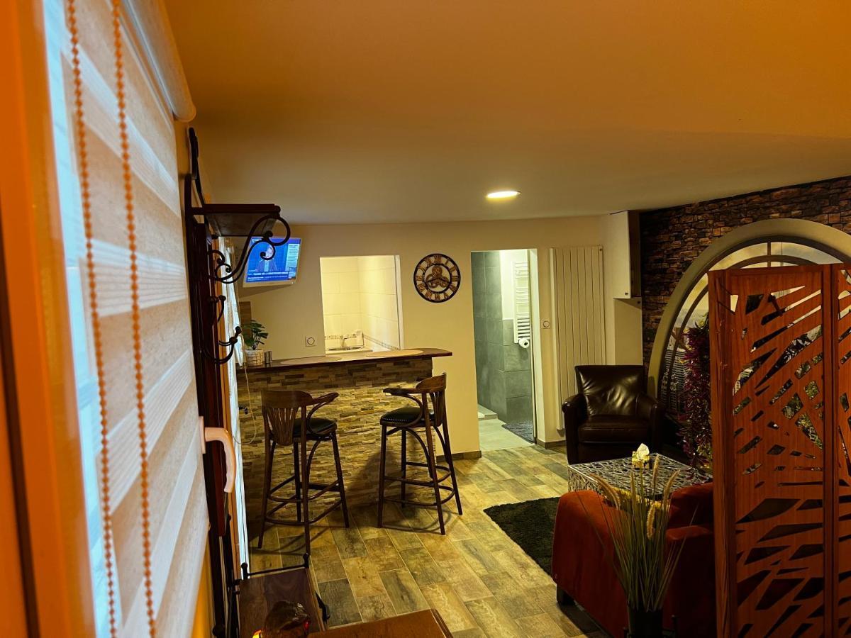 Apartament Superbe Appart Avec Jardin Prive Proche Paris Nogent-sur-Seine Zewnętrze zdjęcie