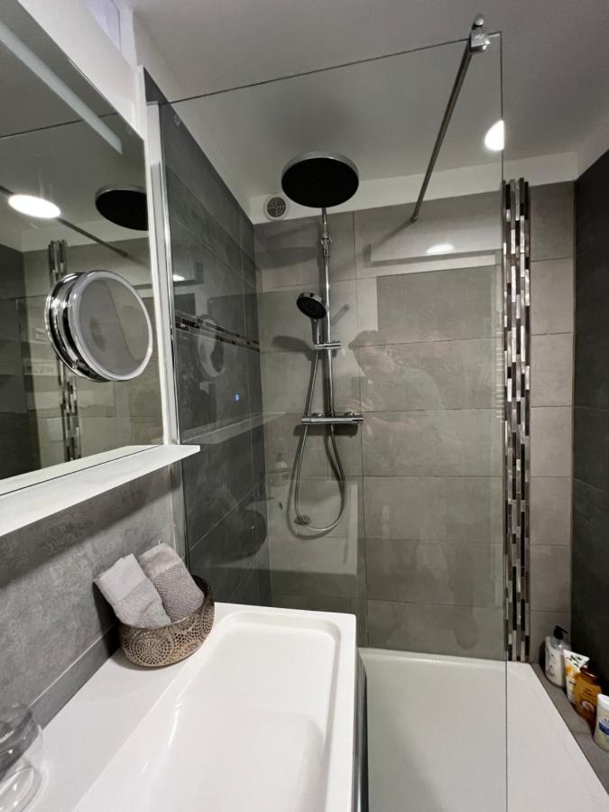 Apartament Superbe Appart Avec Jardin Prive Proche Paris Nogent-sur-Seine Zewnętrze zdjęcie